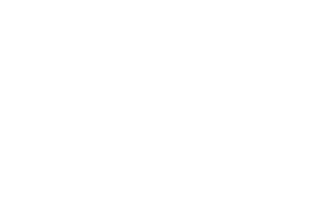 TSUNAGITE Inc.